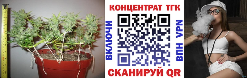 ТГК вейп  Шенкурск 