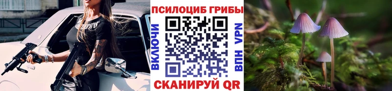 магазин    блэк спрут маркетплейс  Галлюциногенные грибы прущие грибы  Шенкурск 