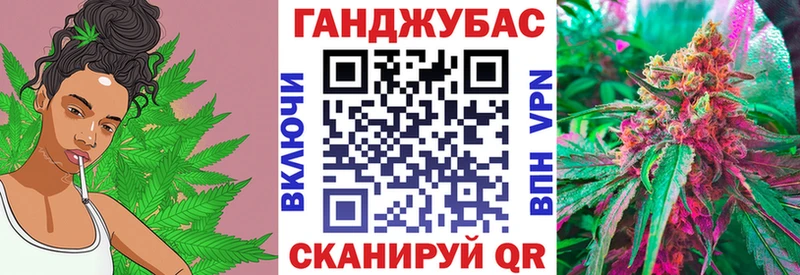 где купить наркотик  Шенкурск  Бошки Шишки марихуана 